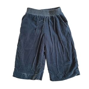 Gymboree Blue Velvet Culottes Cropped Pants